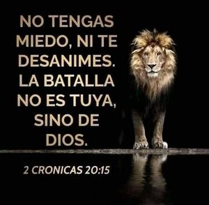 Meet your Posher, Elba